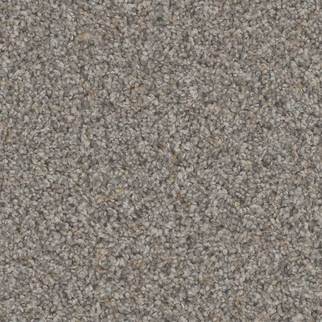 Phenix Floor Ever Pet Plus 12' Rhodes Carpet Tile