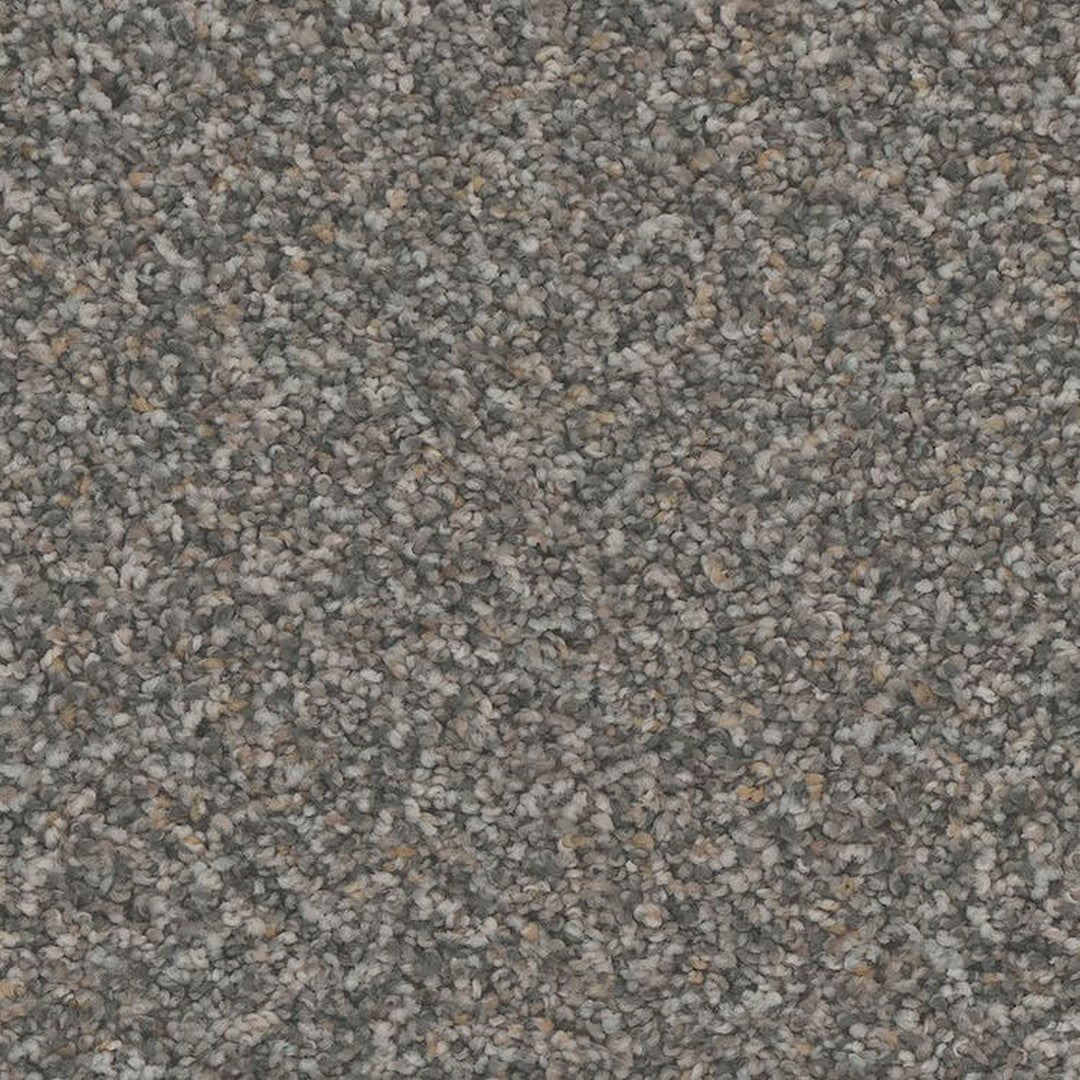 Phenix Floor Ever Pet Plus 12' Rhodes Carpet Tile