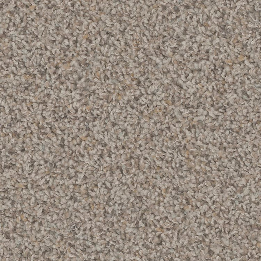 Phenix Floor Ever Pet Plus Crete 12' Carpet Tile
