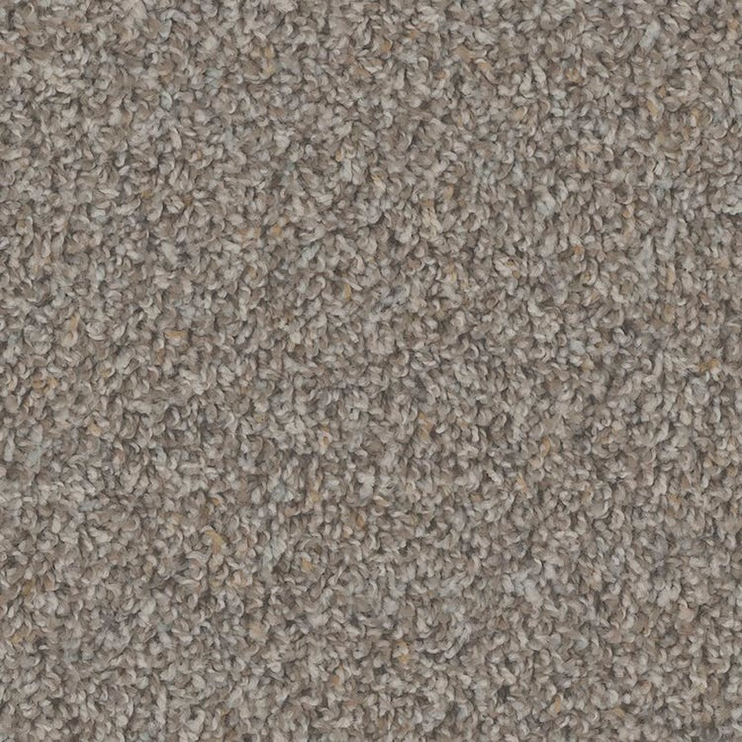 Phenix Floor Ever Pet Plus Crete 12' Carpet Tile
