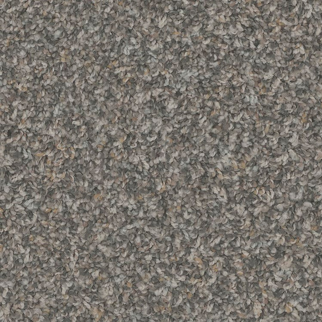 Phenix Floor Ever Pet Plus Crete 12' Carpet Tile