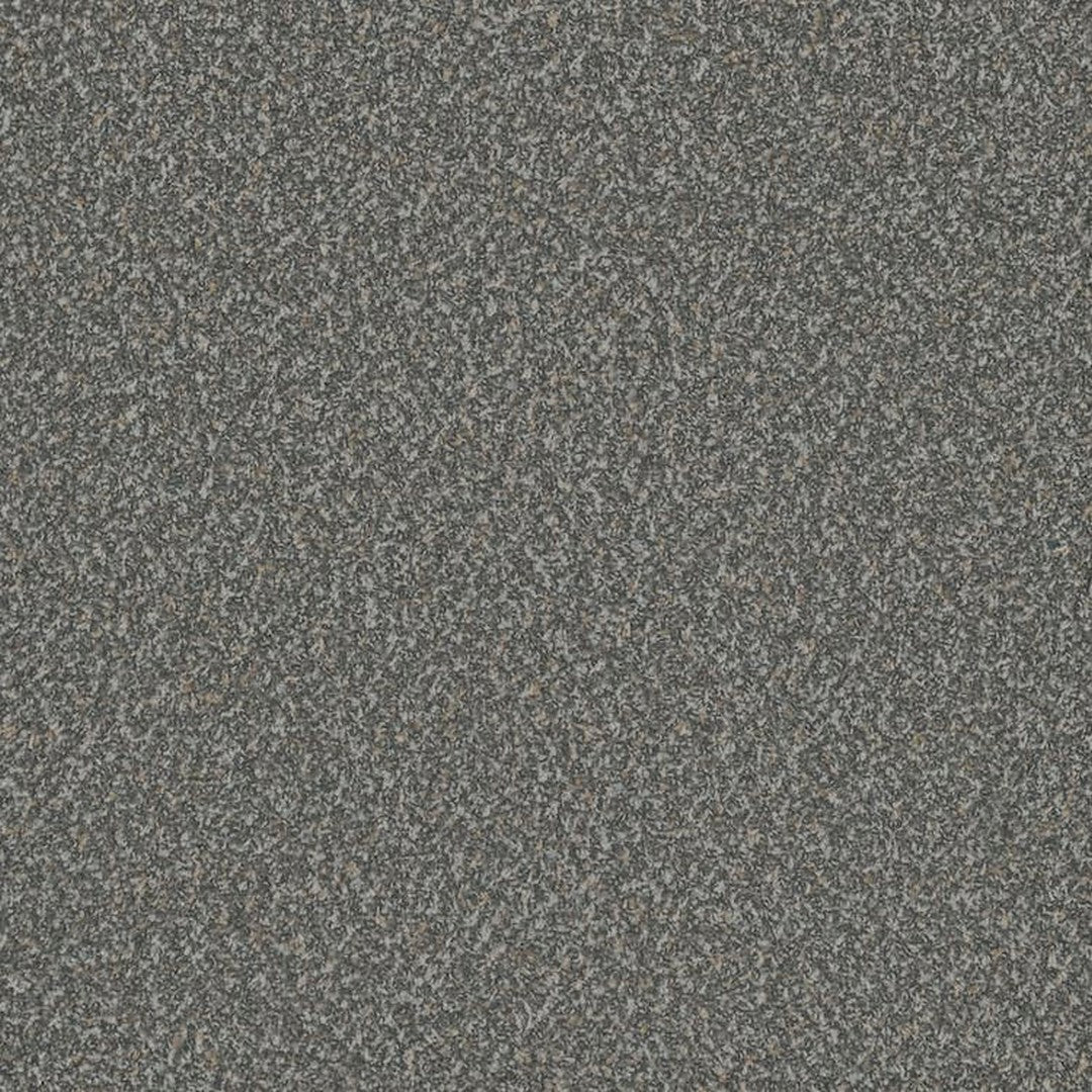 Phenix Floor Ever Pet Plus Crete 12' Carpet Tile