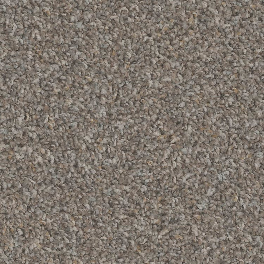 Phenix Floor Ever Pet Plus 12' Sparta Carpet Tile