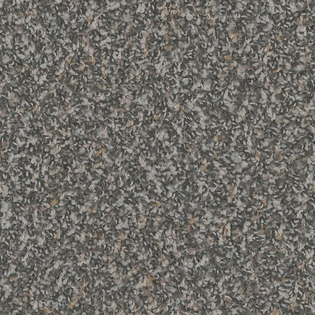 Phenix Floor Ever Pet Plus 12' Sparta Carpet Tile