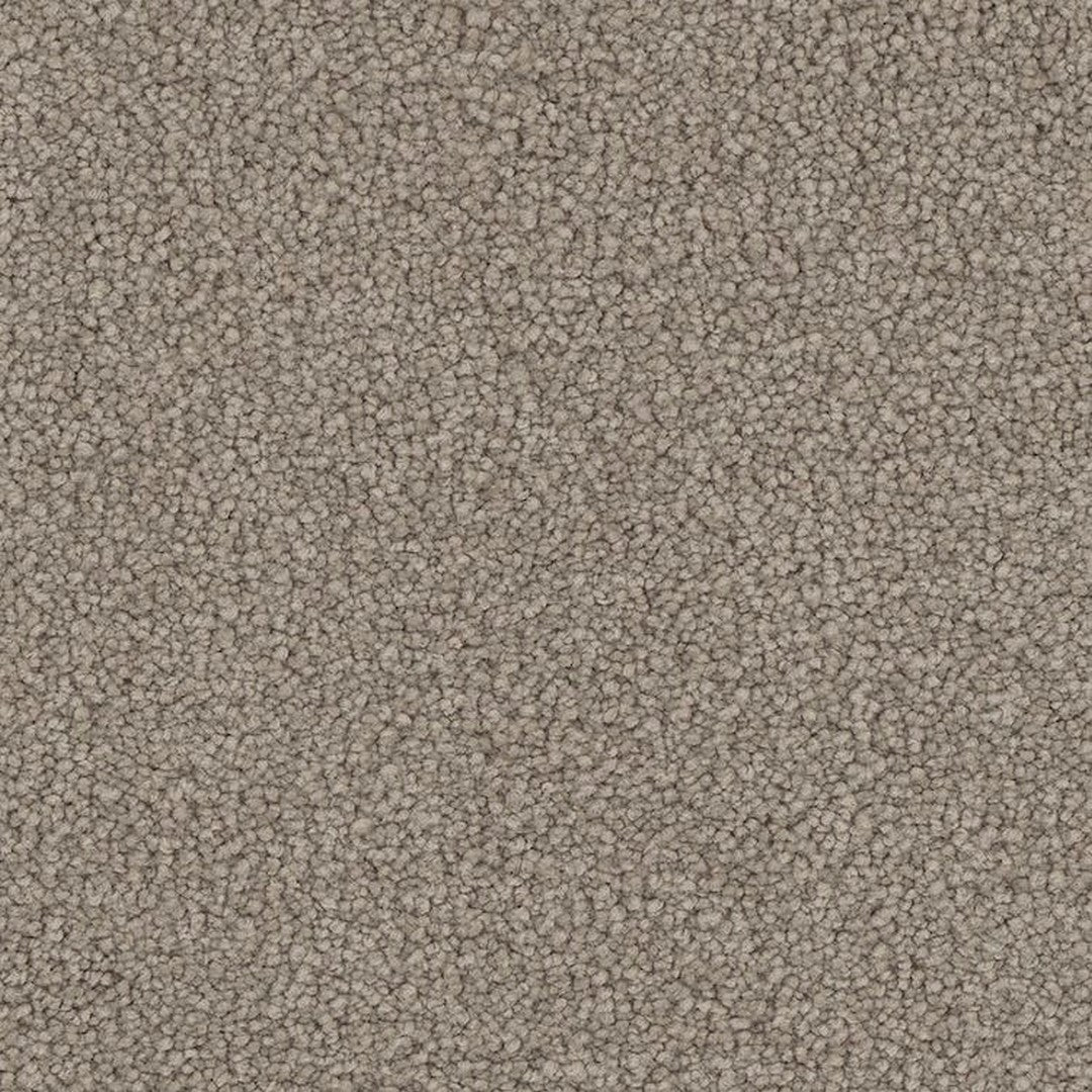 Phenix Floor Ever Pet Plus 12' Emerson Carpet Tile