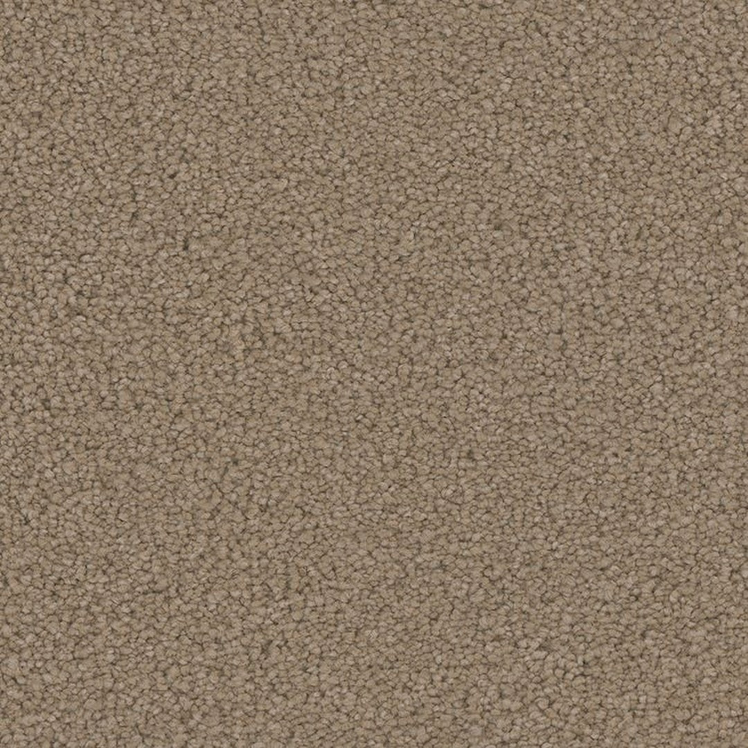Phenix Floor Ever Pet Plus 12' Emerson Carpet Tile