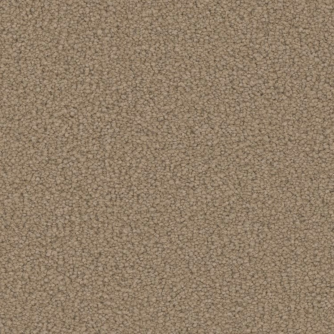 Phenix Floor Ever Pet Plus 12' Emerson Carpet Tile