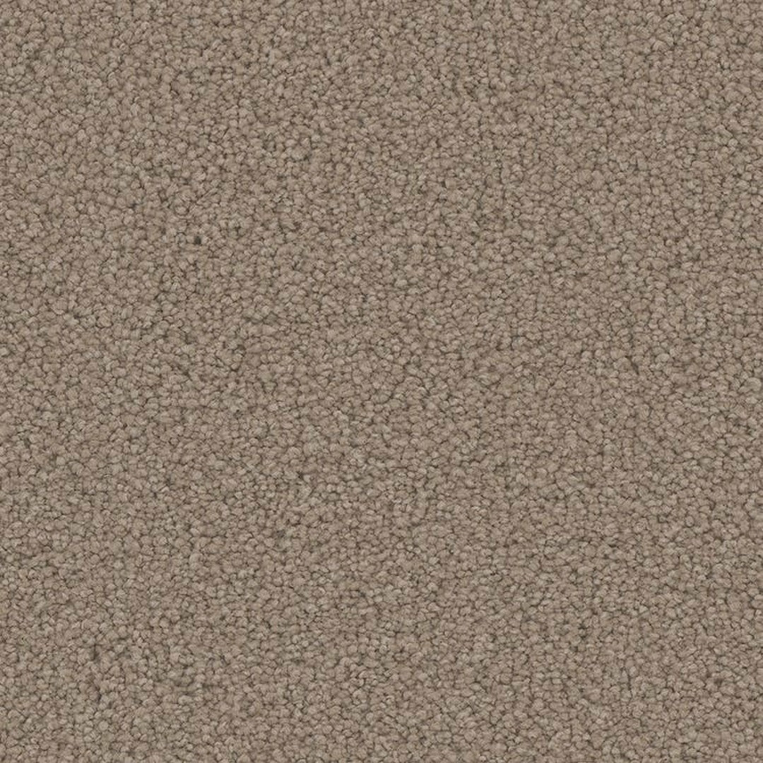 Phenix Floor Ever Pet Plus 12' Emerson Carpet Tile