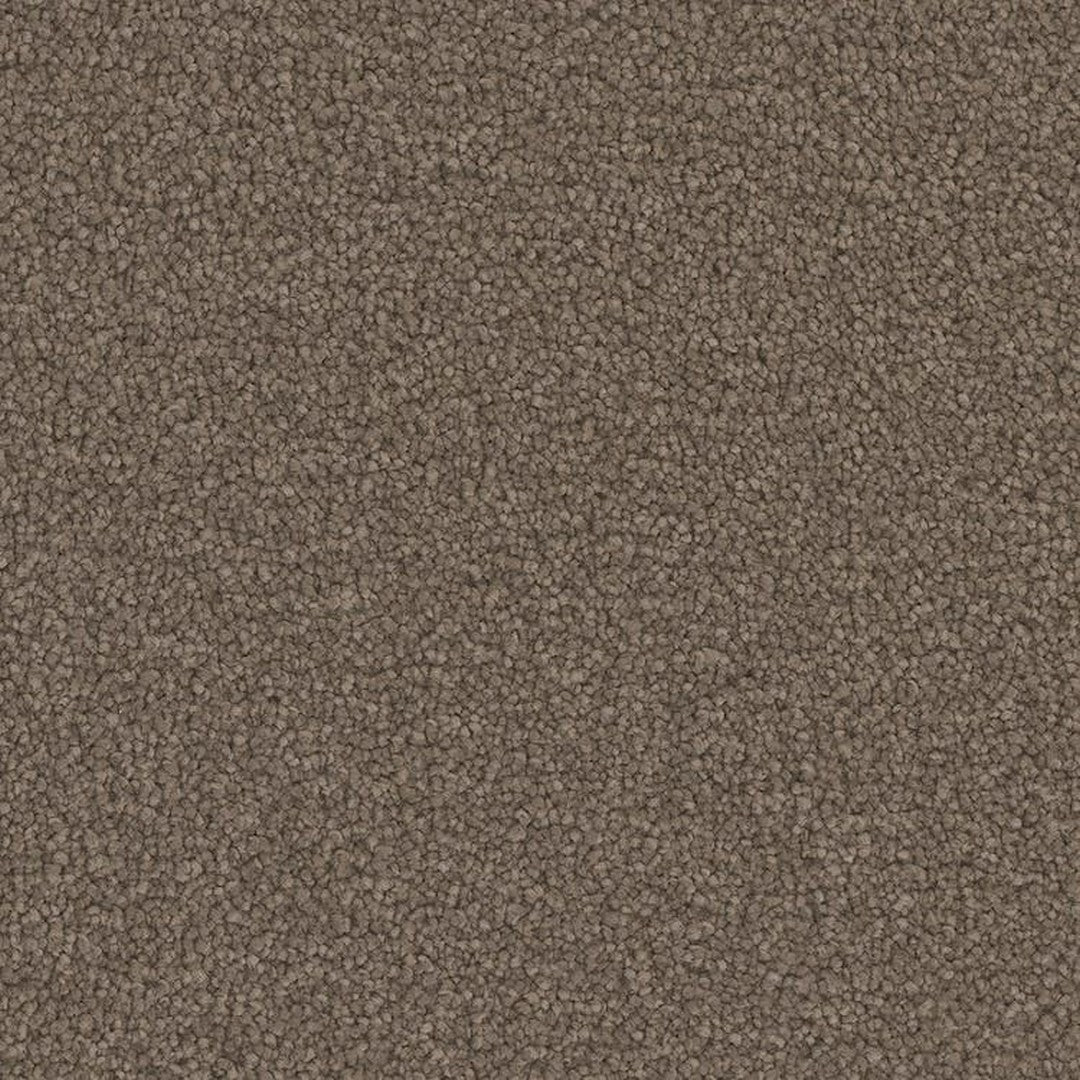 Phenix Floor Ever Pet Plus 12' Emerson Carpet Tile