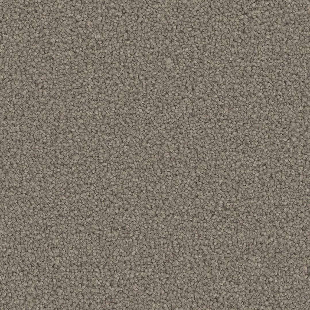 Phenix Floor Ever Pet Plus 12' Emerson Carpet Tile