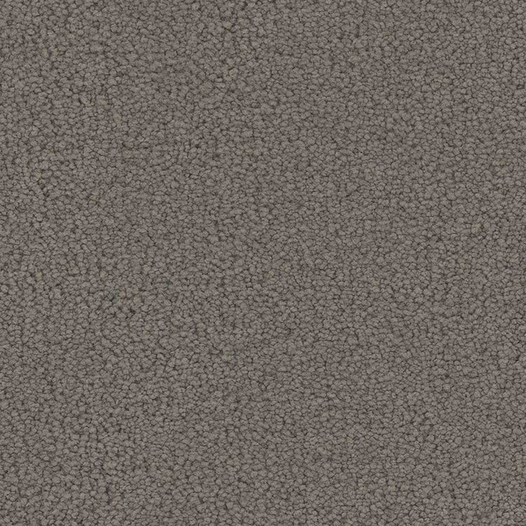 Phenix Floor Ever Pet Plus 12' Emerson Carpet Tile