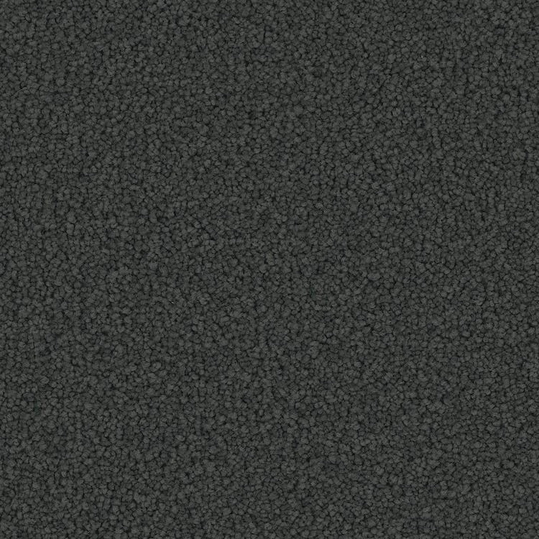 Phenix Floor Ever Pet Plus 12' Emerson Carpet Tile