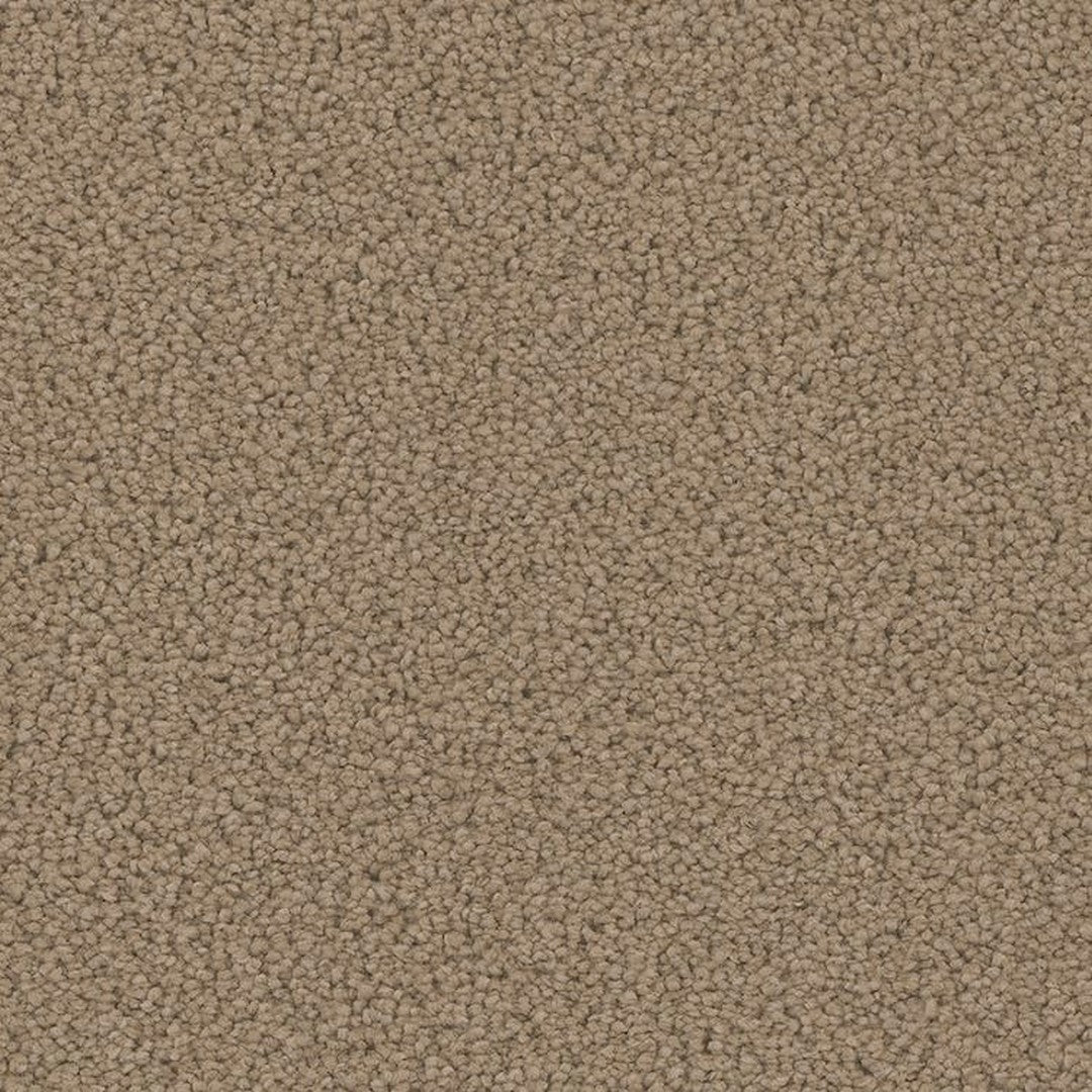 Phenix Floor Ever Pet Plus 12' Mateo Carpet Tile