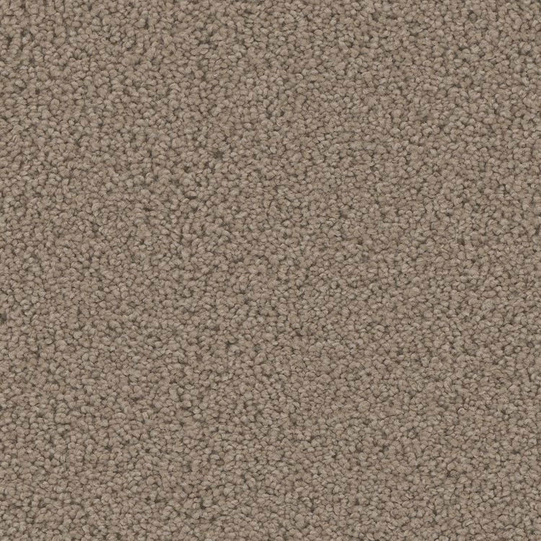 Phenix Floor Ever Pet Plus 12' Mateo Carpet Tile