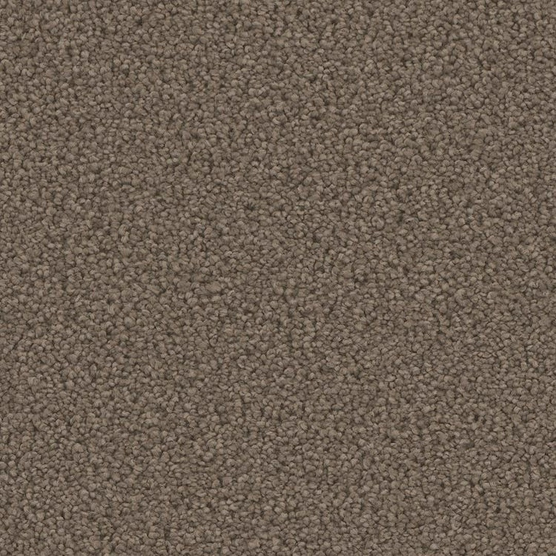 Phenix Floor Ever Pet Plus 12' Mateo Carpet Tile