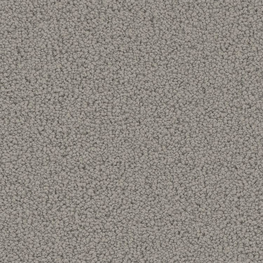 Phenix Floor Ever Pet Plus 12' Mateo Carpet Tile