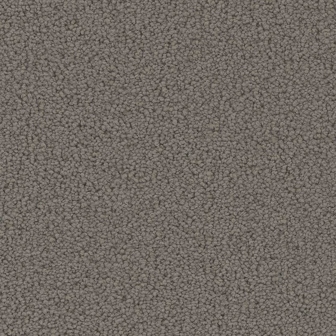 Phenix Floor Ever Pet Plus 12' Mateo Carpet Tile