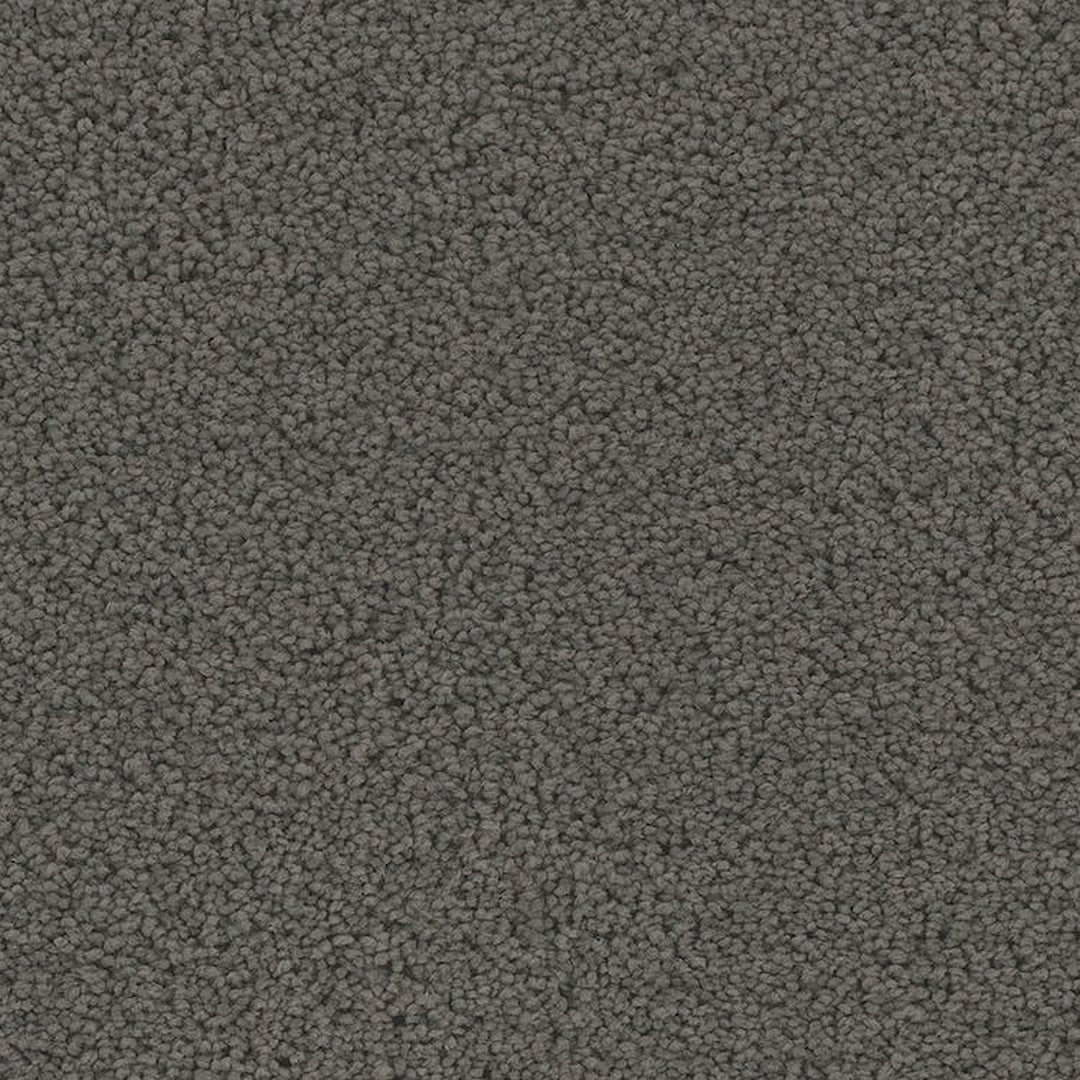 Phenix Floor Ever Pet Plus 12' Mateo Carpet Tile