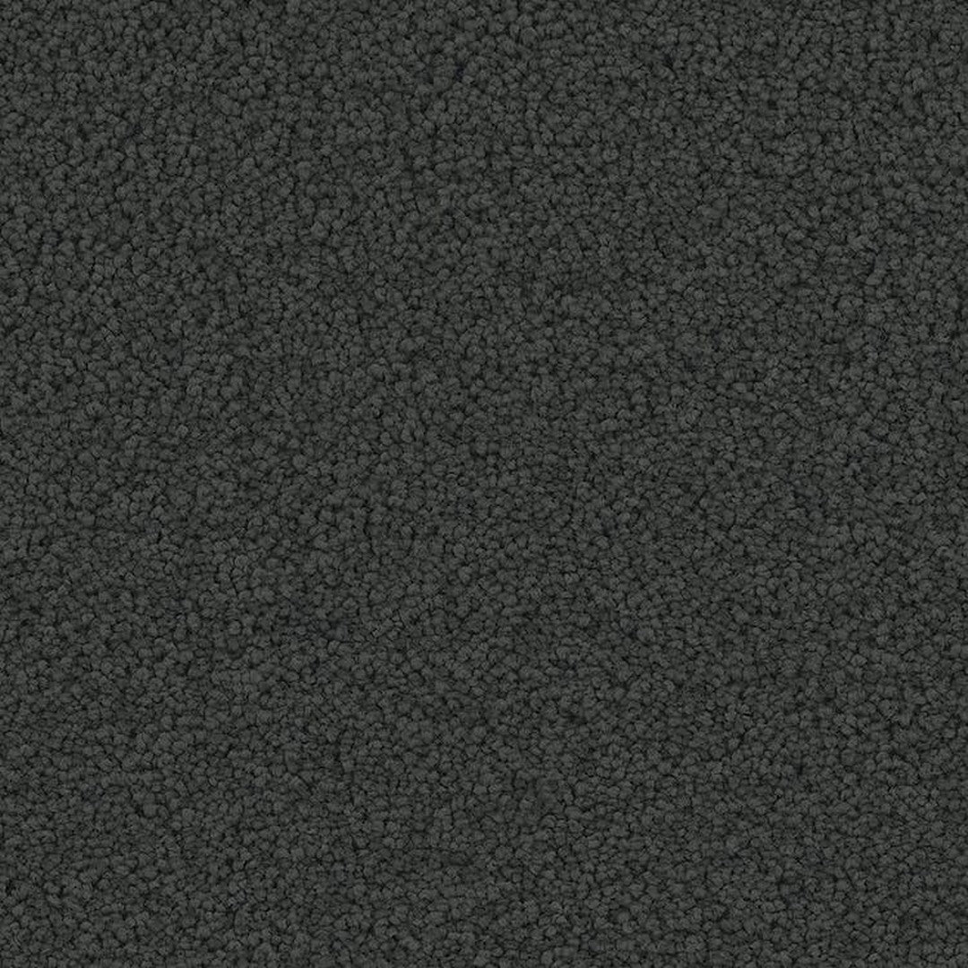 Phenix Floor Ever Pet Plus 12' Mateo Carpet Tile