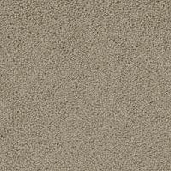 Phenix Floor Ever Pet Plus 12' Balboa Carpet Tile