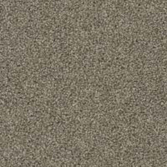 Phenix Floor Ever Pet Plus 12' Balboa Carpet Tile