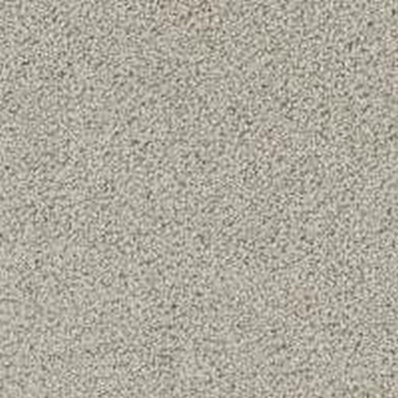 Phenix Floor Ever Pet Plus 12' Balboa Carpet Tile