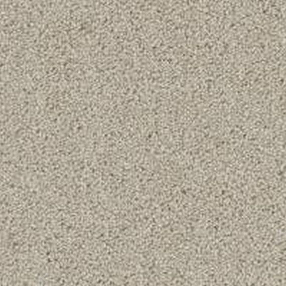 Phenix Floor Ever Pet Plus 12' Lido Carpet Tile