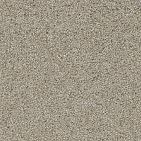 Phenix Floor Ever Pet Plus 12' Lido Carpet Tile