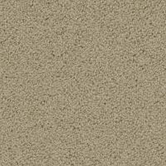 Phenix Floor Ever Pet Plus 12' Lido Carpet Tile