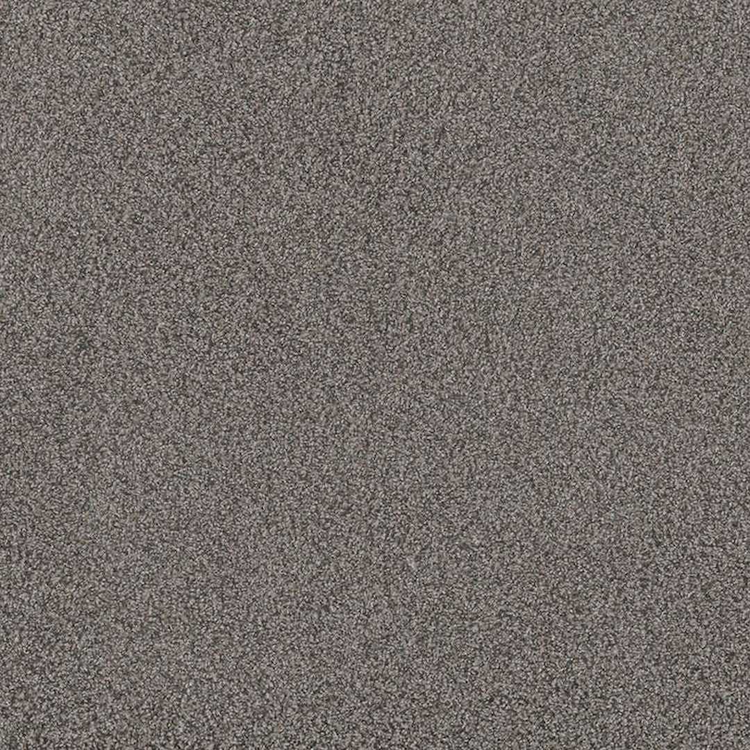 Phenix Floor Ever Pet Plus 12' Sorrento Carpet Tile