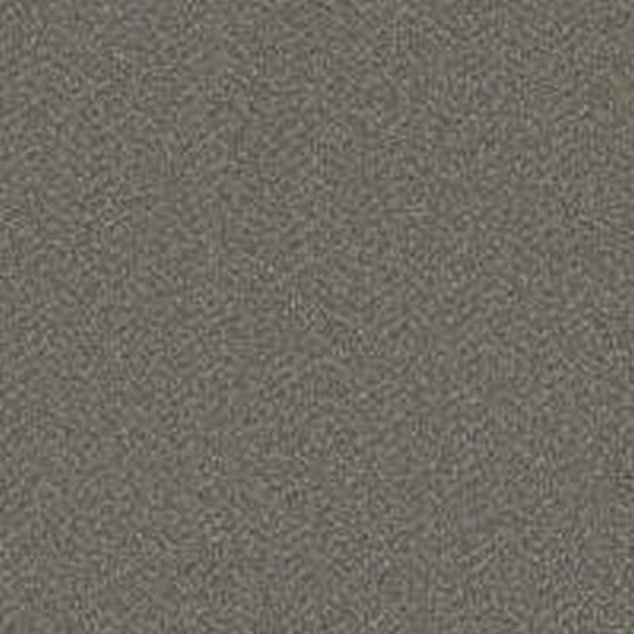Phenix Floor Ever Pet Plus 12' Luna Carpet Tile
