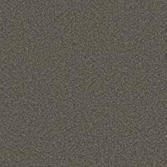 Phenix Floor Ever Pet Plus 12' Luna Carpet Tile