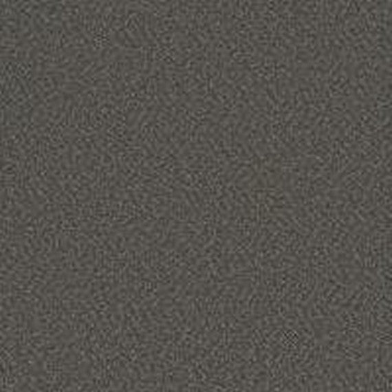 Phenix Floor Ever Pet Plus 12' Luna Carpet Tile