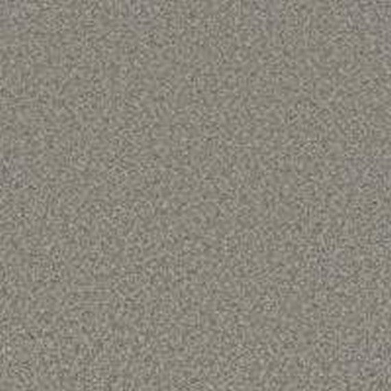 Phenix Floor Ever Pet Plus 12' Luna Carpet Tile