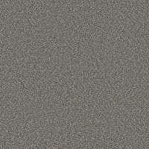 Phenix Floor Ever Pet Plus 12' Luna Carpet Tile