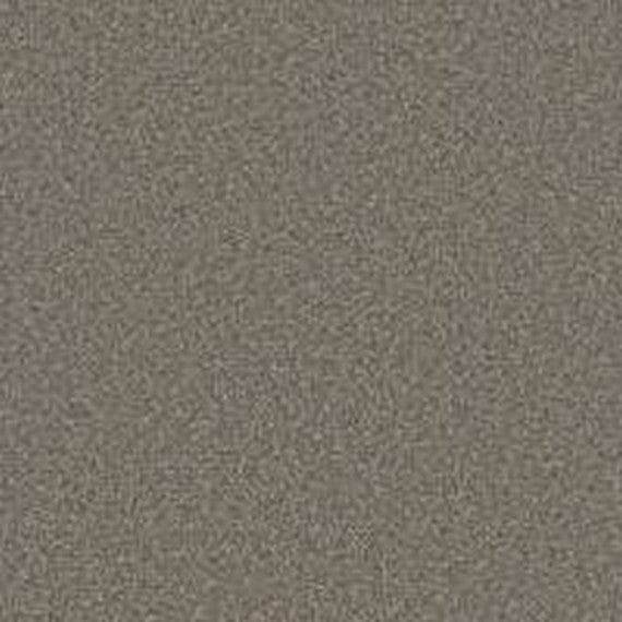 Phenix Floor Ever Pet Plus 12' Luna Carpet Tile