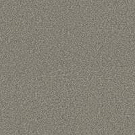 Phenix Floor Ever Pet Plus 12' Luna Carpet Tile