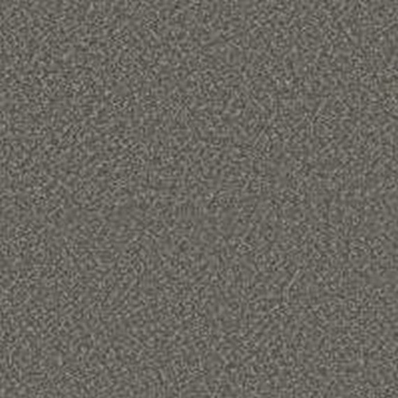 Phenix Floor Ever Pet Plus 12' Luna Carpet Tile