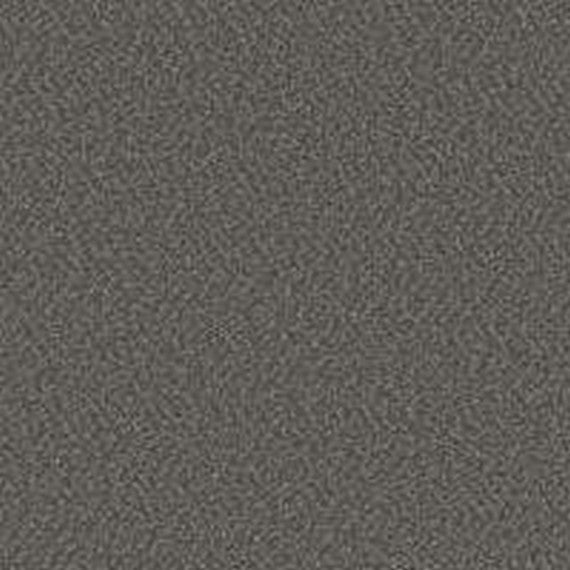 Phenix Floor Ever Pet Plus 12' Luna Carpet Tile