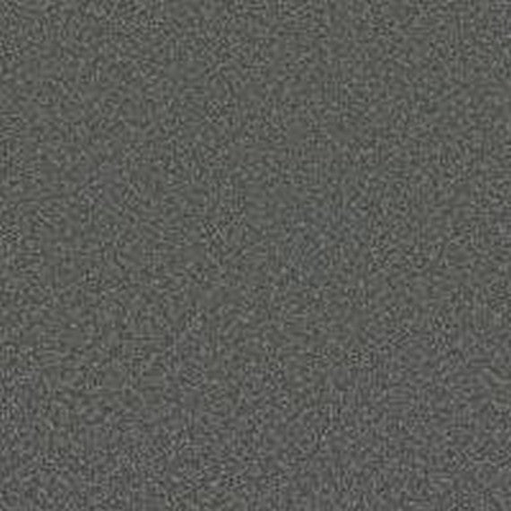 Phenix Floor Ever Pet Plus 12' Luna Carpet Tile