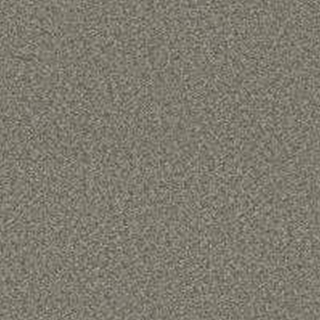 Phenix Floor Ever Pet Plus 12' Milo Carpet Tile