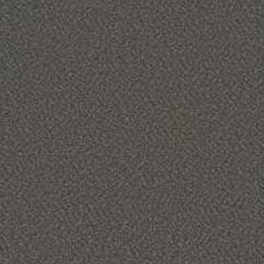 Phenix Floor Ever Pet Plus 12' Milo Carpet Tile