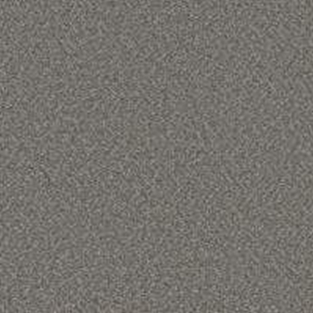 Phenix Floor Ever Pet Plus 12' Milo Carpet Tile