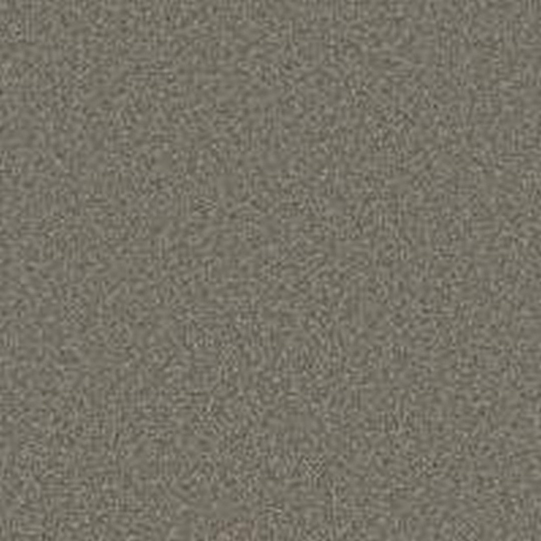 Phenix Floor Ever Pet Plus 12' Milo Carpet Tile
