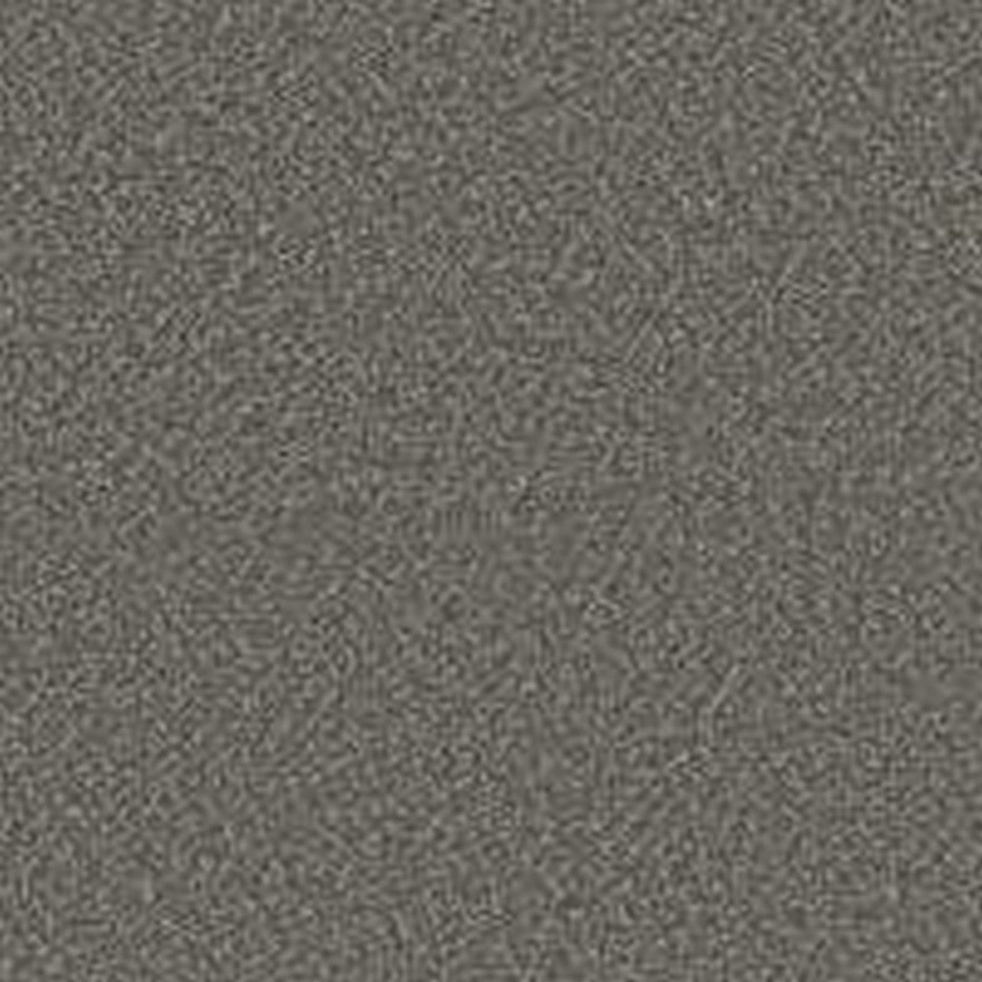 Phenix Floor Ever Pet Plus 12' Milo Carpet Tile