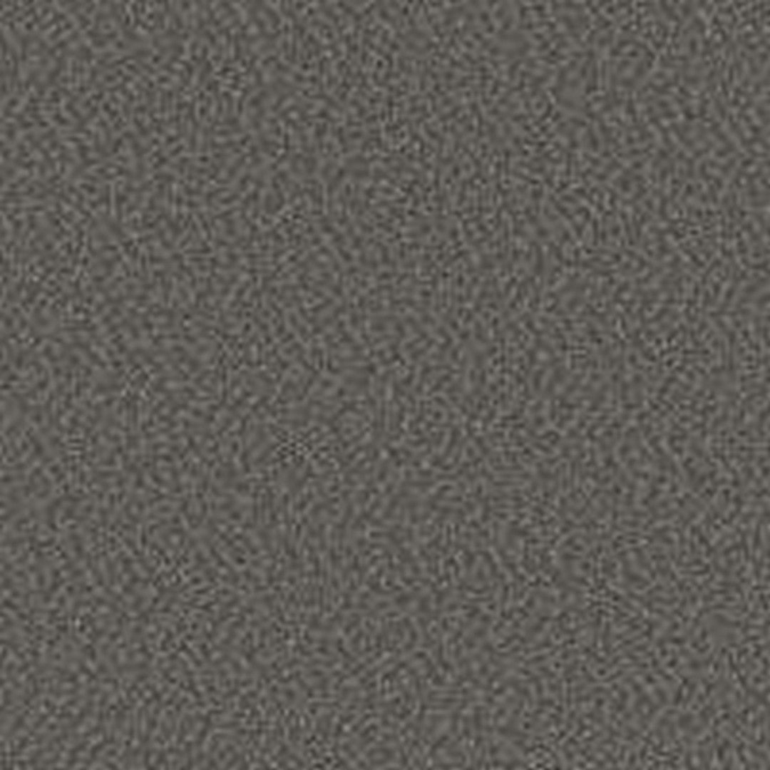 Phenix Floor Ever Pet Plus 12' Milo Carpet Tile