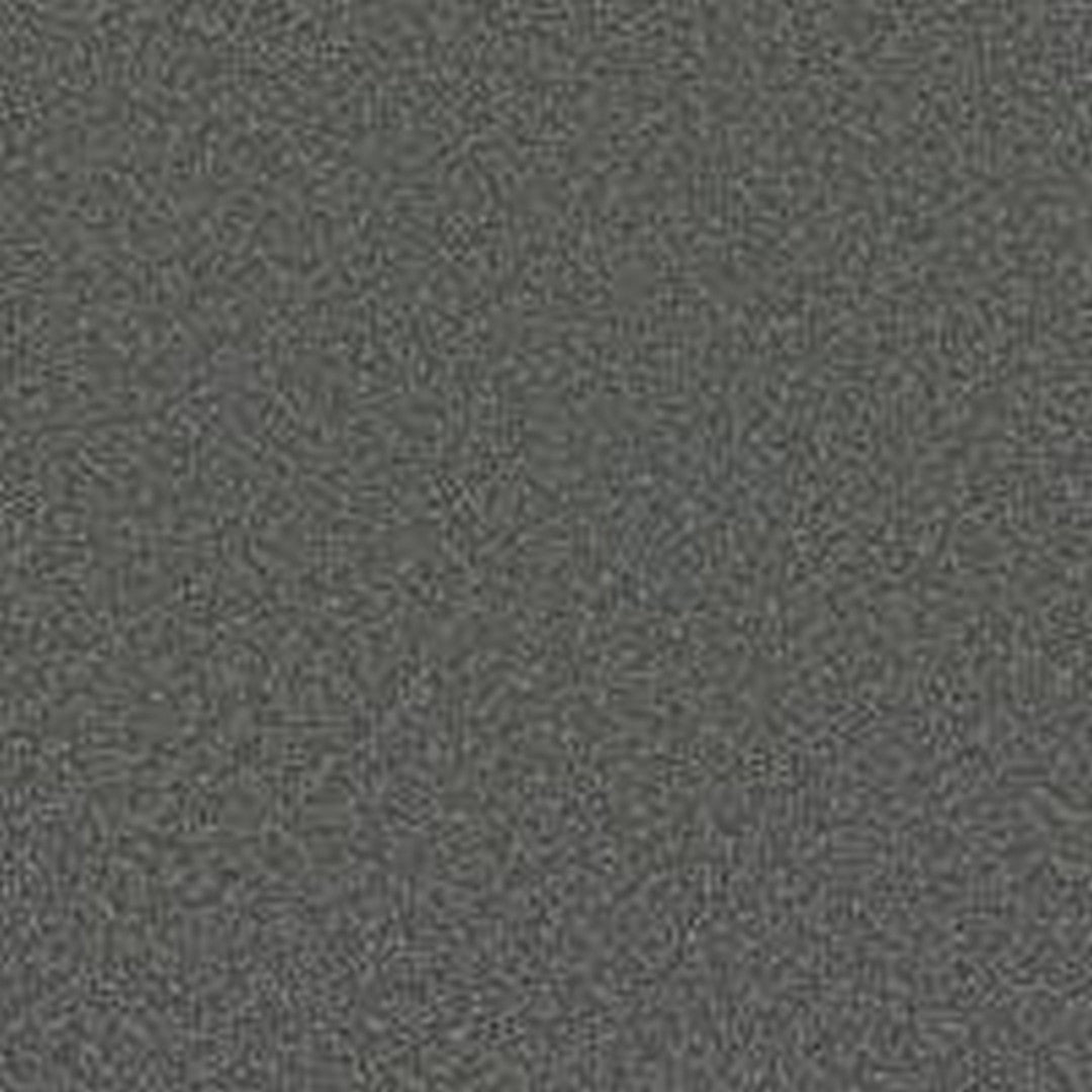 Phenix Floor Ever Pet Plus 12' Milo Carpet Tile