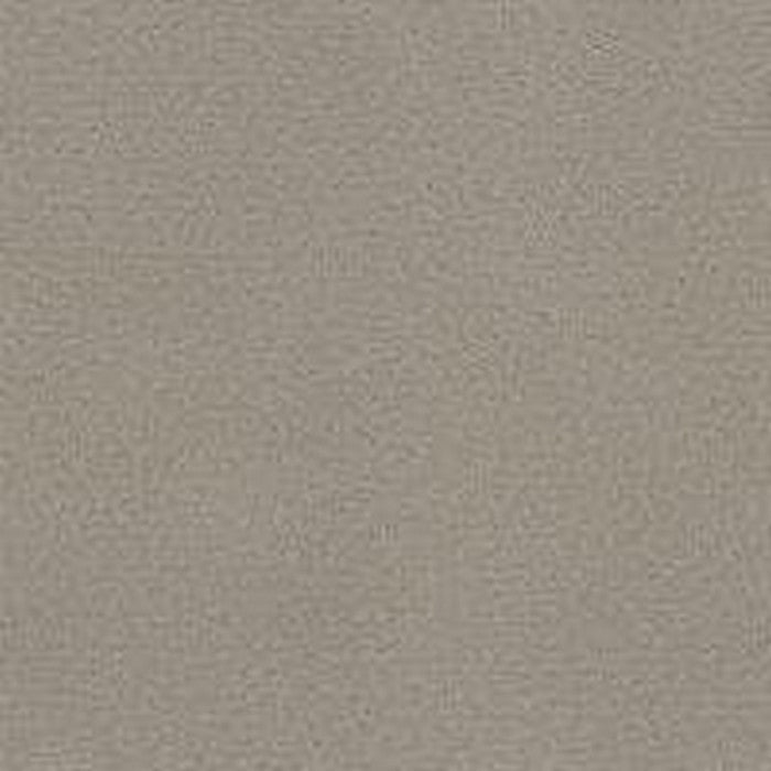 Phenix Floor Ever Pet Plus 12' Capri Carpet Tile