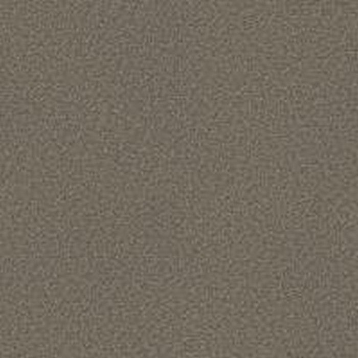 Phenix Floor Ever Pet Plus 12' Capri Carpet Tile