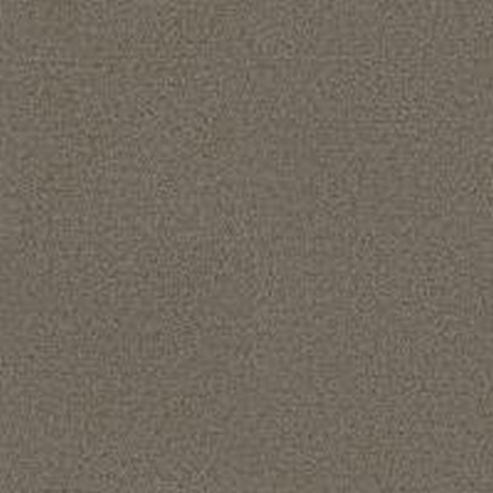 Phenix Floor Ever Pet Plus 12' Capri Carpet Tile